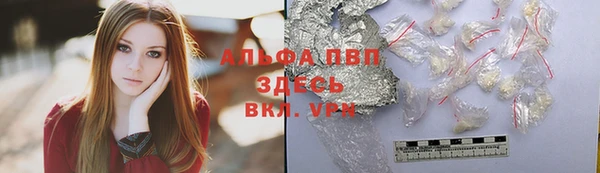 спиды Алзамай