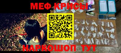 гашик Камышлов