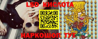 гашик Камышлов