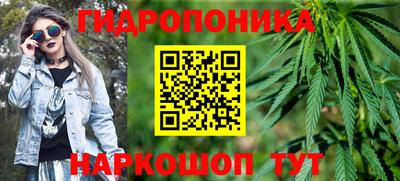 гашик Камышлов