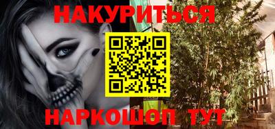 гашик Камышлов