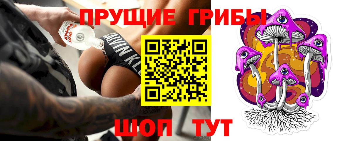 продажа наркотиков  Галлюциногенные грибы Cubensis  Вход с VPN  Кириши 