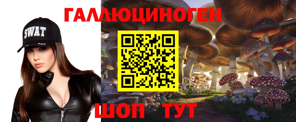 Галлюциногенные грибы Psilocybe Кириши
